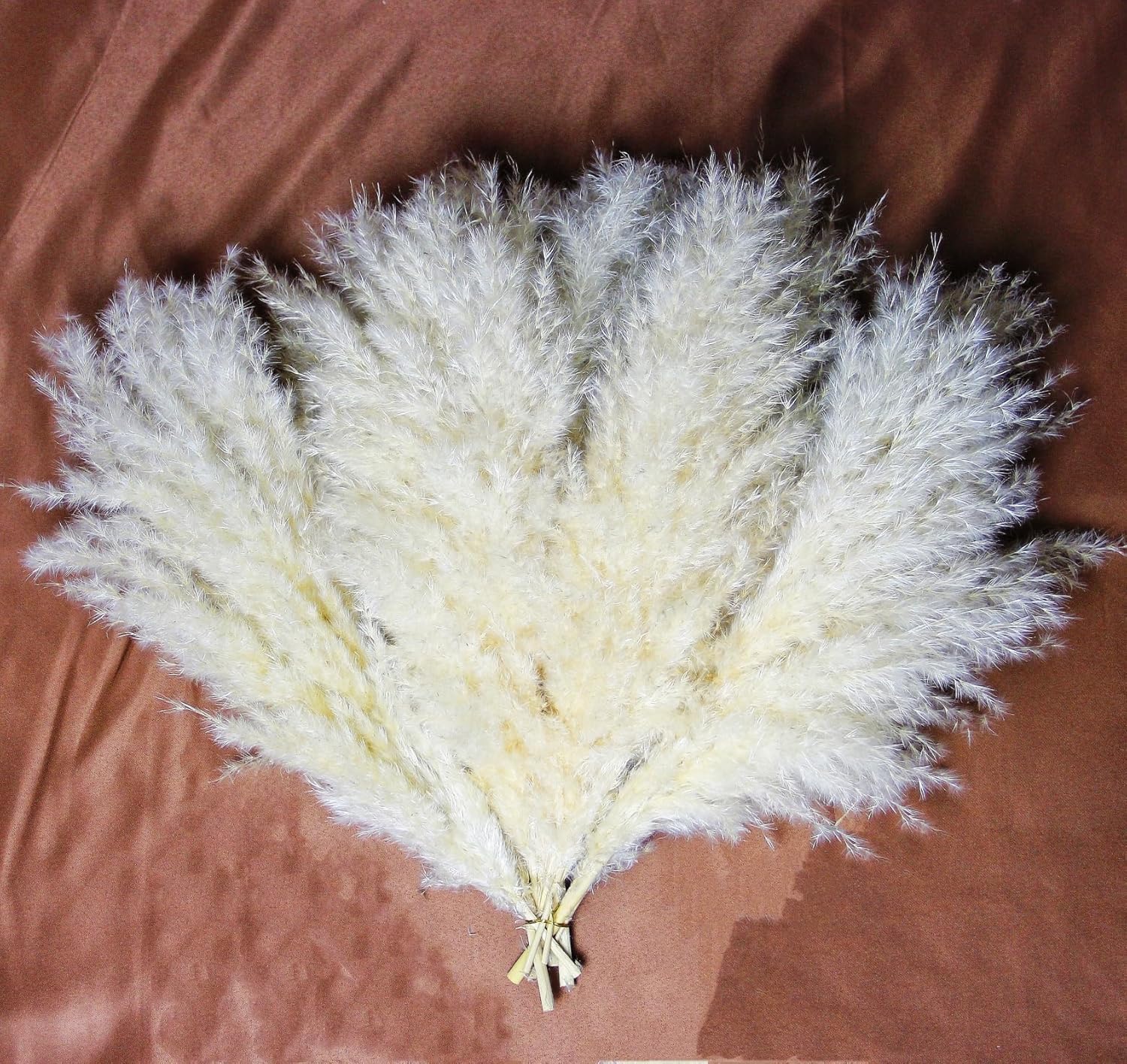 10 PCS Beige Pampas Grass Decor, Naturally Dried Pompas, Bunny Tails Dried Flowers, and Dried Eucalyptus. Perfect for Weddings, Boho Party Decorations, and Table Decor(17inch)