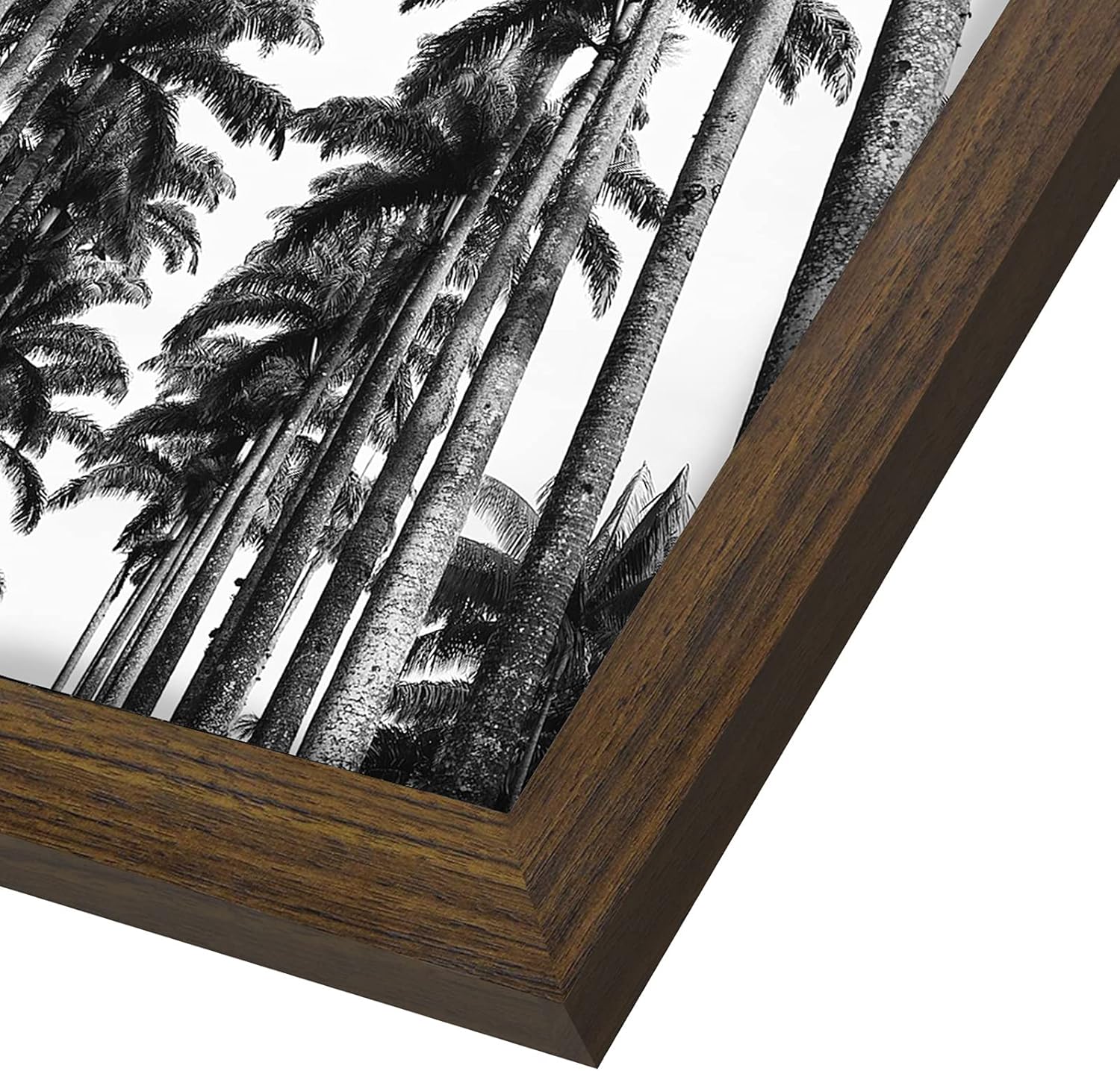 Americanflat 22x28 Poster Frame with Polished Plexiglass - Wide Picture Frames Made of Engineered Wood for Vertical or Horizontal Wall Display - Epic Collection - Walnut