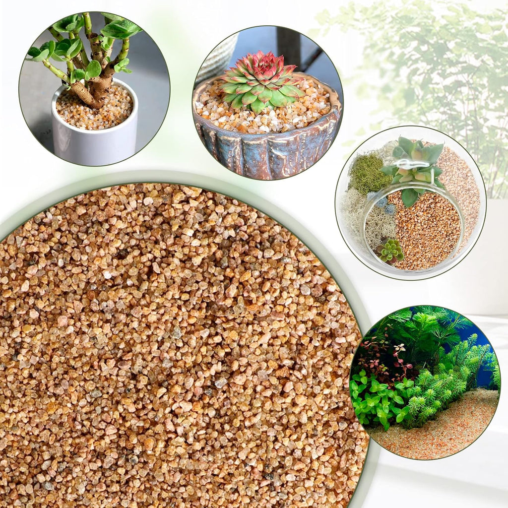 Coarse Silica Sand 3lb Succulent Rocks Stones Potting Horticultural Grit Cactus Bonsai Soil, Decorative Rocks Gravel for Potted Plant, Fairy Garden, Aquarium, Terrarium, DIY