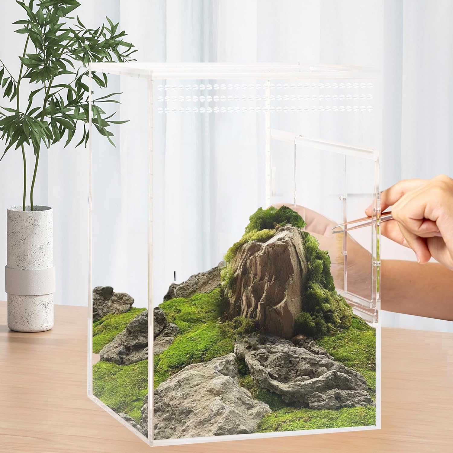 Jumping Spider Enclosure, Compact Acrylic Terrarium for Jumping Spiders, Tarantulas, and Praying Mantis - Small Insect Habitat Enclosure with Transparent Design (5.9x5.9x9.0 Inch)