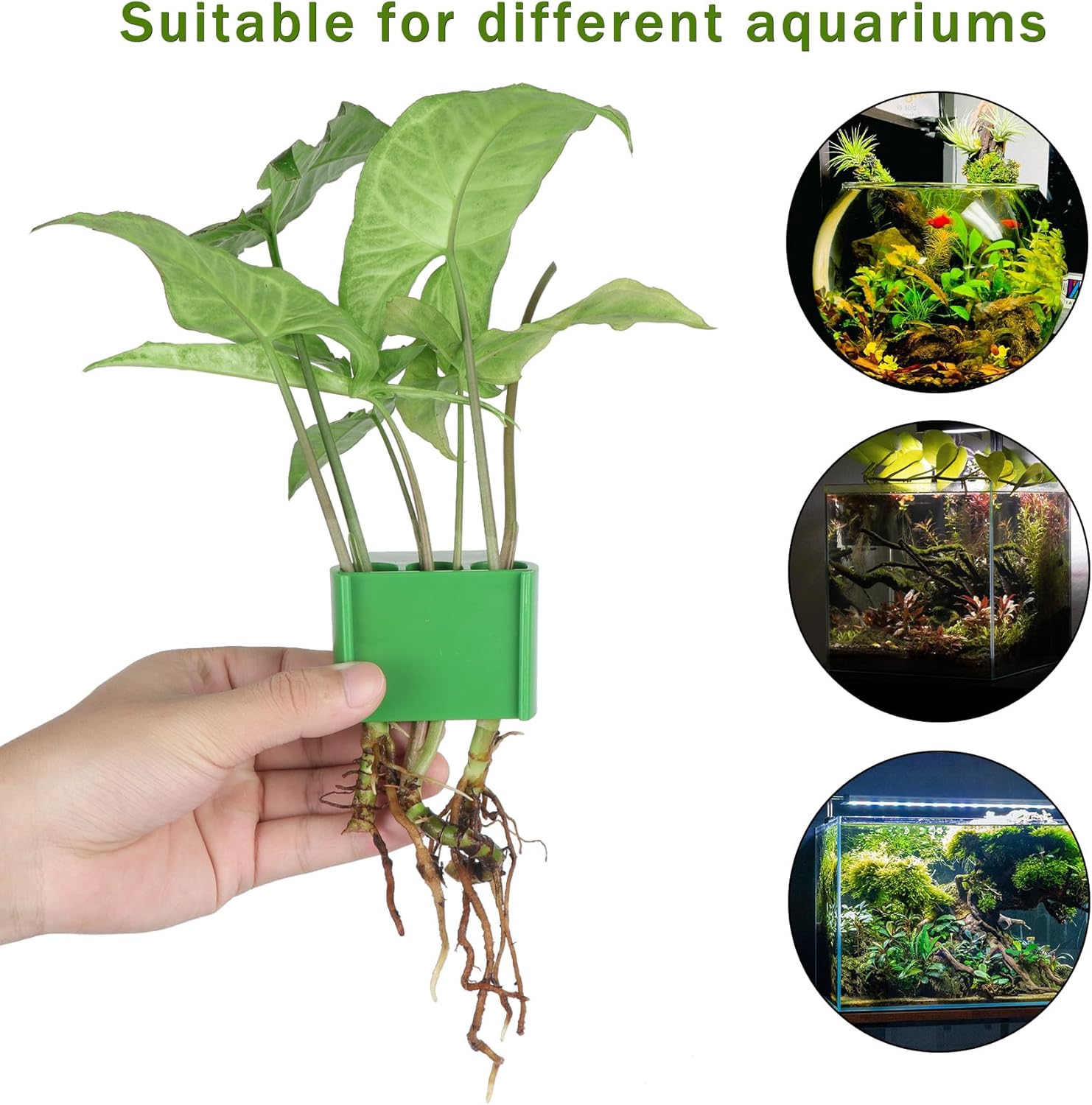 3 Holes Upgraded Aquatic Plant Cup Aquarium Plant Holder for Tank,Aquascape Accessories Decorations- Green 2 Pcs