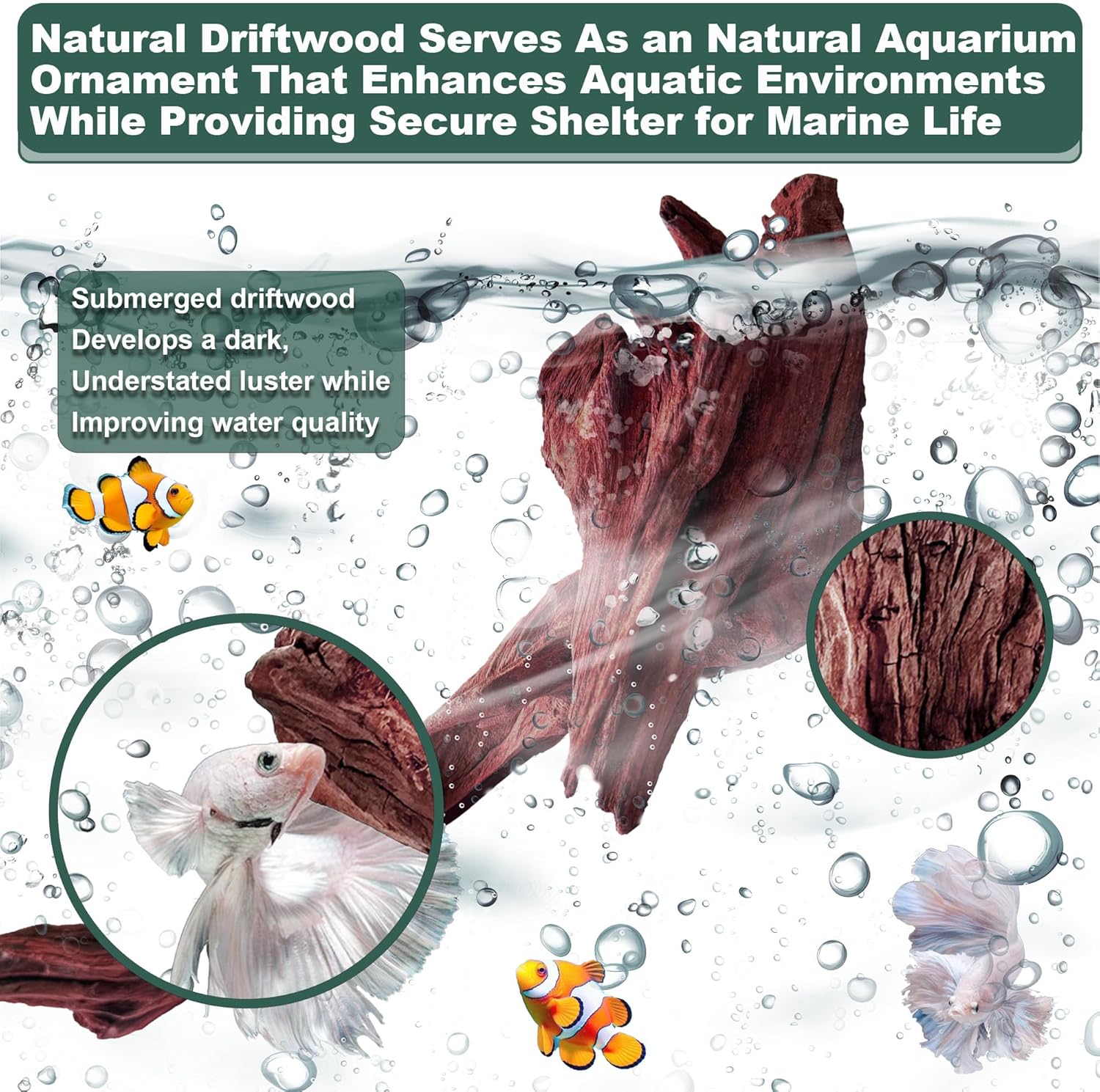 Natural Wood Driftwood for Aquarium Fish Tank Decor,Assorted Driftwood Trunk Branch for Reptile Tank Decor (MOP-ZYM Driftwood Branch (14 to19 Inch)-Pack of 1)