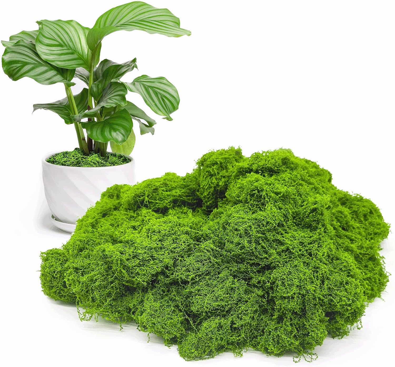 Aspamms Fake Green Moss for Potted Plants Indoor, 3.5oz Artificial Moss for Crafts, Faux Moss Decor for Fairy Garden, DIY Decorative, Model Making, Walls, Glass Containers, Home