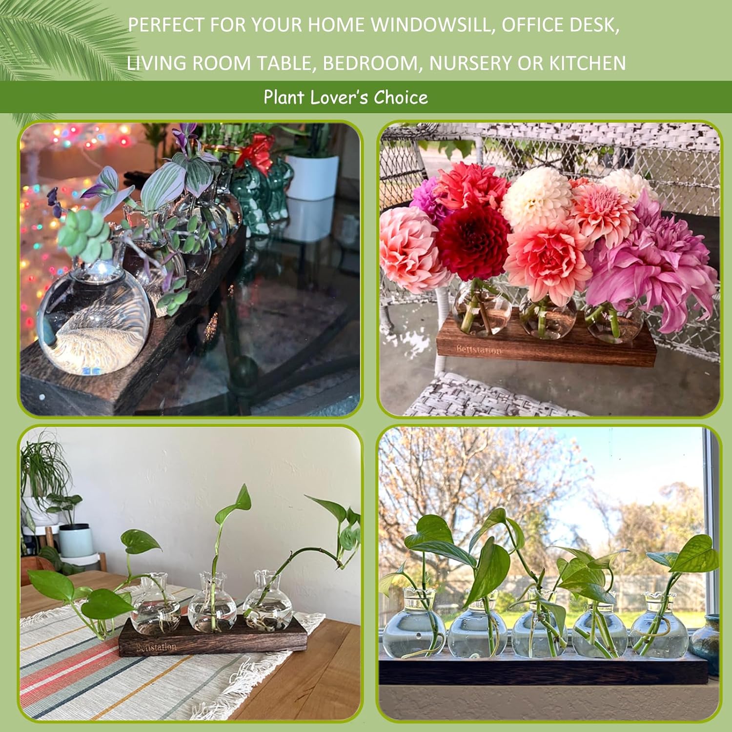 Plant Propagation Station, Plants Terrarium with Wooden Stand Bulb Glass Vase Planter Gift for Plant Lovers Home Office Decor