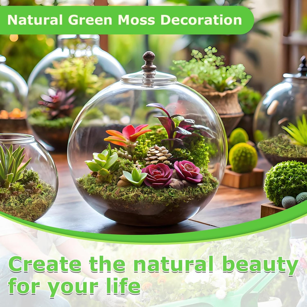 Legigo 1.3 LBS Green Moss for Crafts, Real Forest Moss for Plants Indoor, Table Decorative Centerpieces, Artificial Fairy Garden, Wedding Party Decor, Fake Potted Plants and DIY Craft Projects