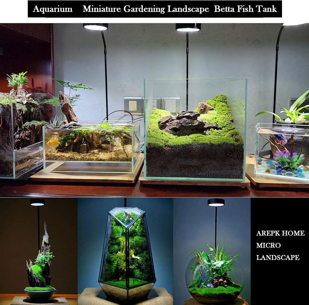 Aquarium Light Full Spectrum LED, for Under 7 Gallon Fish Tank, Light with Timer Auto On/Off, Betta Fish Tank,Indoor Plant Growth, Potted Plants, Succulent, Miniature Gardening Landscape (9)