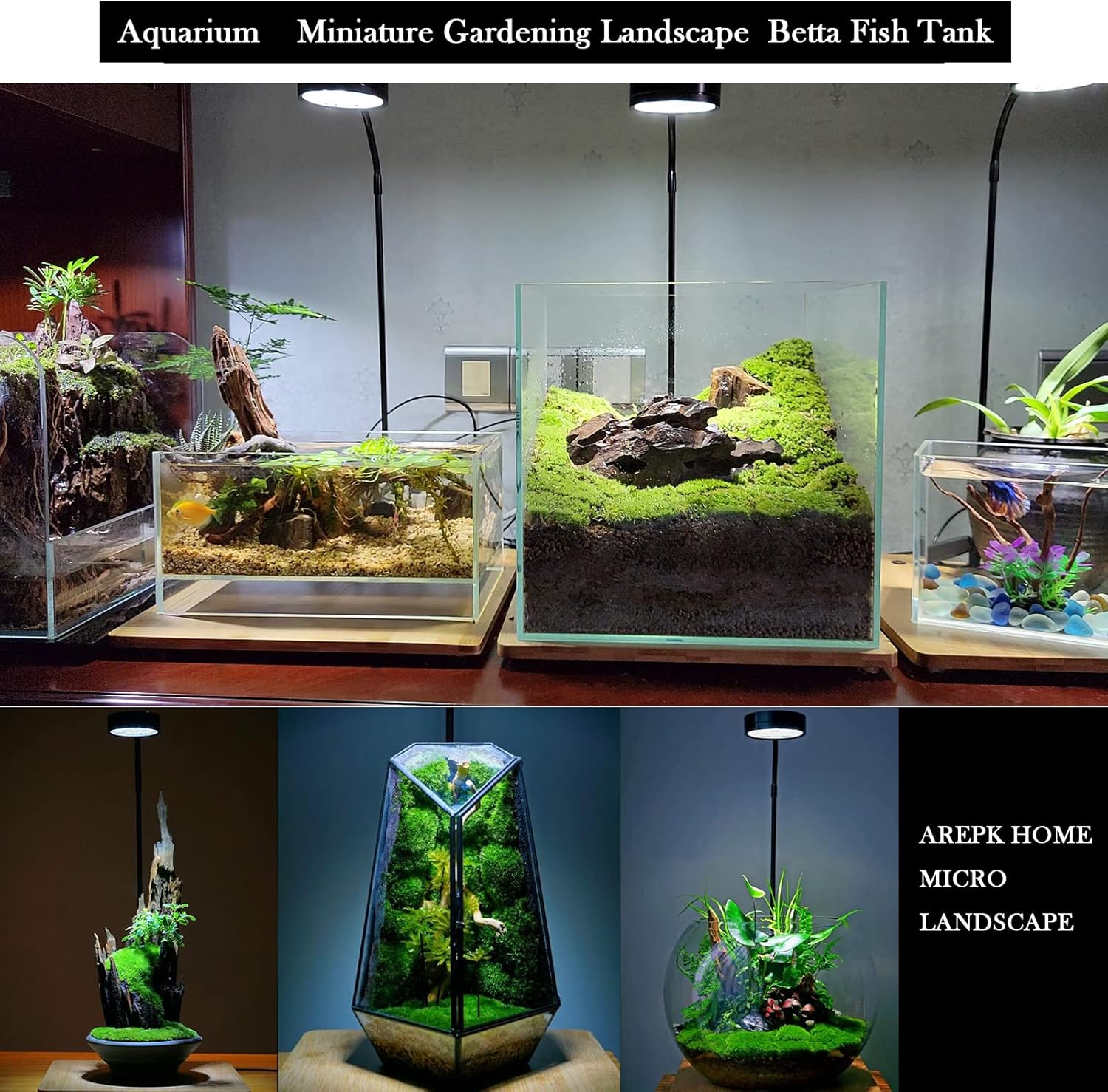 Aquarium Light Full Spectrum LED, for Under 7 Gallon Fish Tank, Light with Timer Auto On/Off, Betta Fish Tank,Indoor Plant Growth, Potted Plants, Succulent, Miniature Gardening Landscape (9)