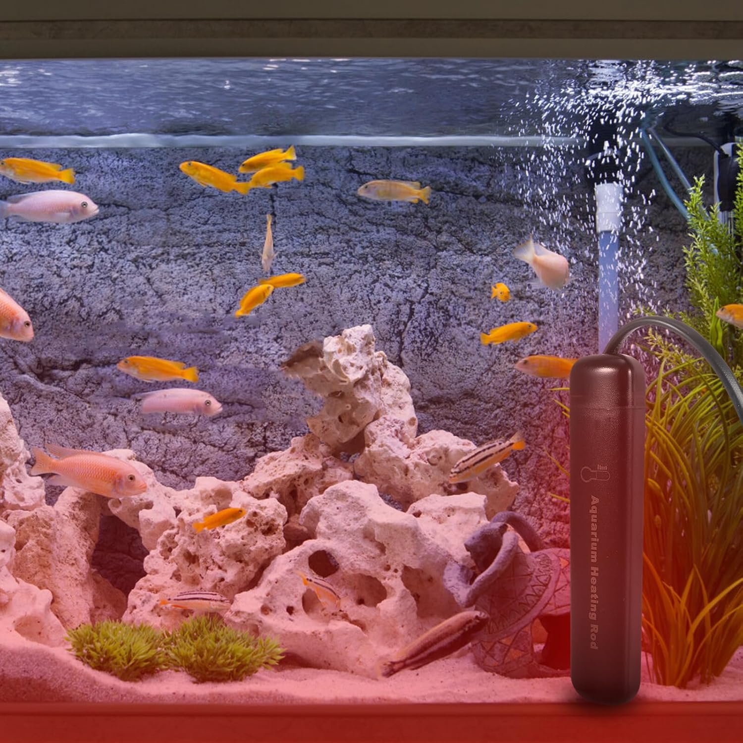 DOITOOL Quartz Glass Aquarium Heating Rod with Thermostat Fast Heating Fish Tank Heater for Tropical and Betta Fish US Plug Safe Automatic Shutoff Easy Installation