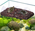 Pawfly Turtle Basking Platform — Resin Dock with 3 Suction Cups for Aquatic Turtles, Frogs, Turtle Tank Accessory