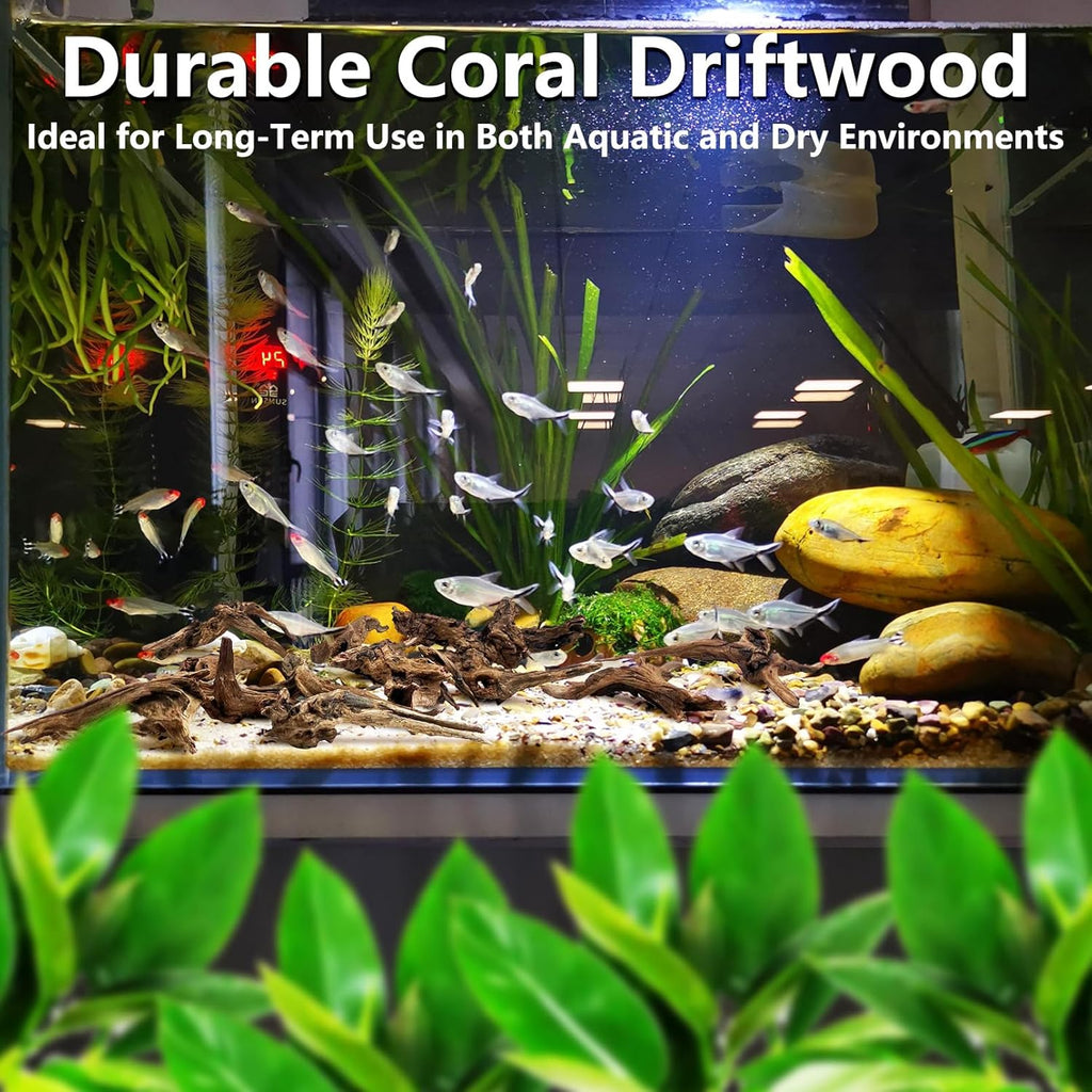 Tfwadmx Natural Small Coral Driftwood for Aquarium Decor 6 Pcs 4-5" Fish Tank Decorations Reptile Decor Assorted Driftwood Branch Reptile Tank Wood Decor