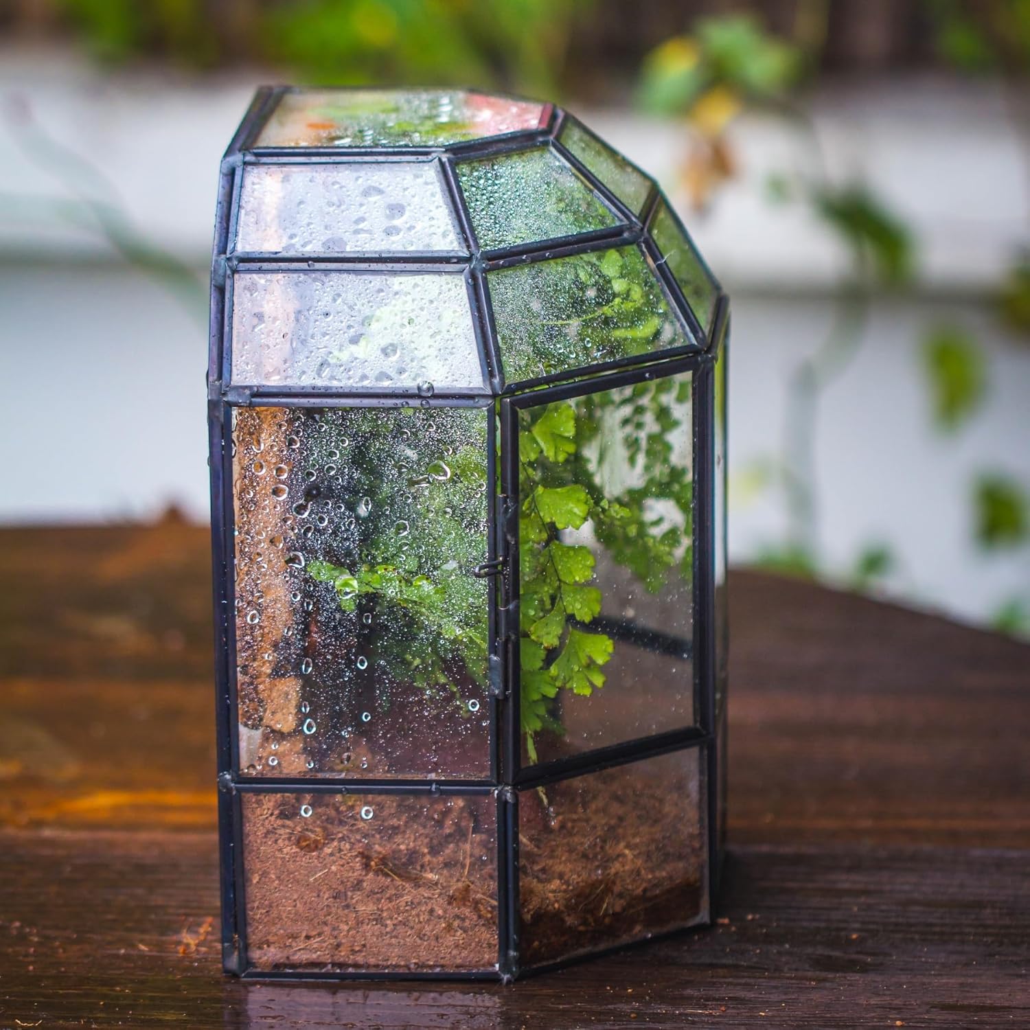 NCYP Half Dome Geometric Glass Terrarium with Door, Closed Succulents Planter Pot, Miniature Landscape Container, Indoor Tabletop Decor, Black (Terrarim Only)