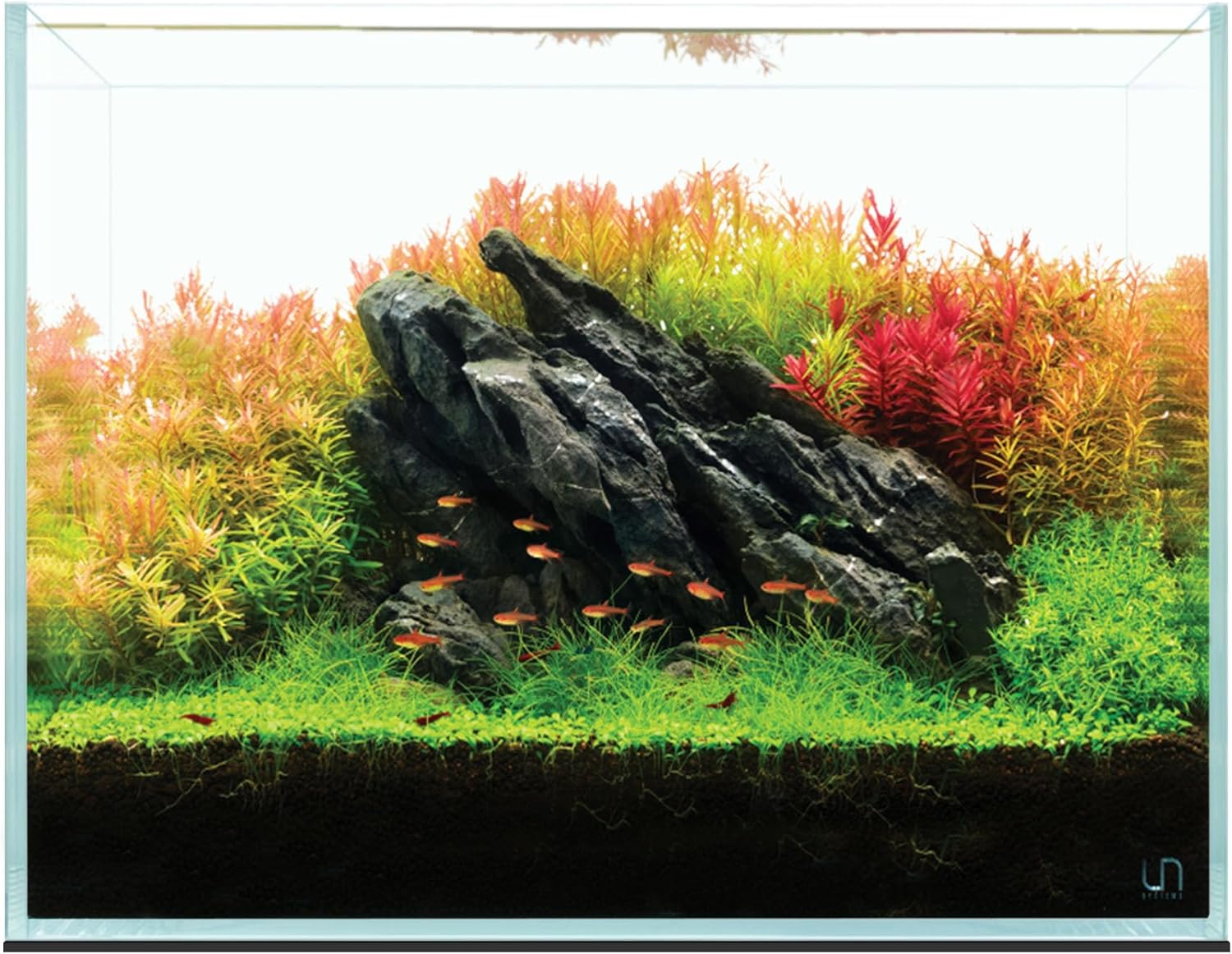 UNS Ultra Clear Rimless Tank - 25.6GAL | 97.2L - 23.62x14.17x17.71 | 60x36x45 CM, 6mm Glass Thickness, Leveling Mat Included - Low Iron, High Clarity Fish Tank w/ 45° Mitered Edge - [60T]