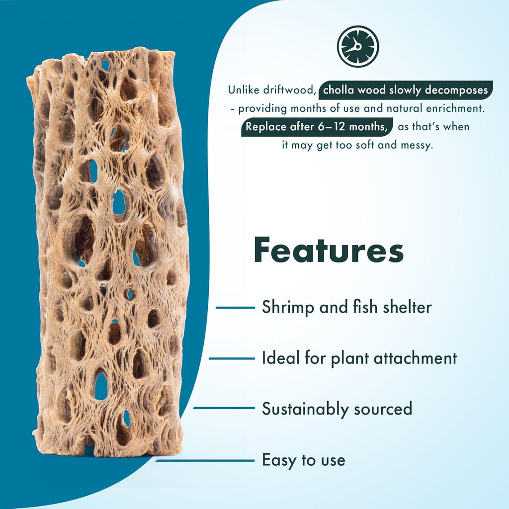 SubstrateSource Natural Cholla Wood - Driftwood for Aquariums, Air Plant Base, Hermit Crab and Freshwater Shrimp Hideout, Fish Tank Decoration, Chinchilla Chews, Reptile Habitat Wood - 6 Inch, 3pc