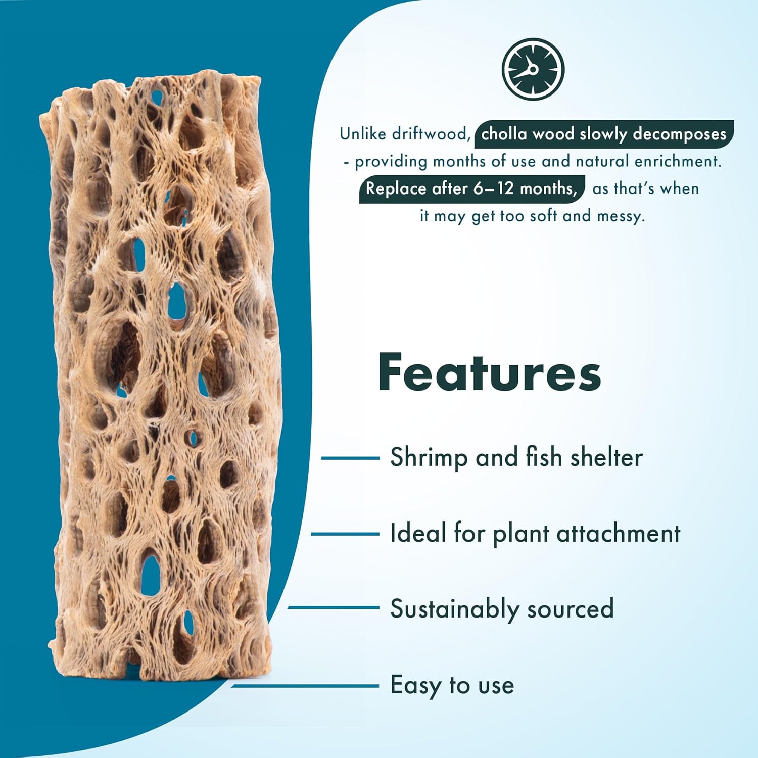 SubstrateSource Natural Cholla Wood - Driftwood for Aquariums, Air Plant Base, Hermit Crab and Freshwater Shrimp Hideout, Fish Tank Decoration, Chinchilla Chews, Reptile Habitat Wood - 6 Inch, 3pc