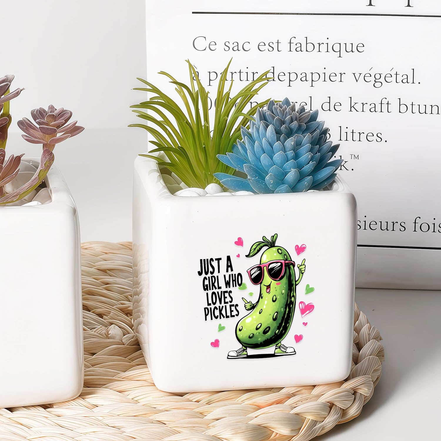 Pickle Succulent Planter Flower Plant Pot Small, Gifts for Women Teens Girls Kids, Pickle Lovers Themed Stuff Accessories Things Decor Merch, Home Office Table Desk Decoration!