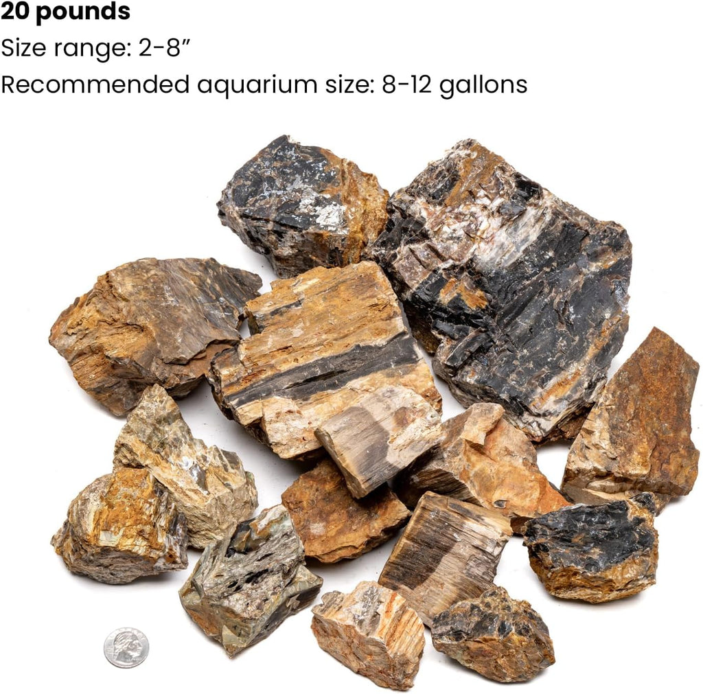 SubstrateSource Natural Stone for Aquarium, Terrarium, Paludarium, Reptile Enclosures - Set of Decorative Rocks for Landcapes, Aquascaping, Fish Tank Decor (Petrified Wood Stone, 20 Pounds, 2-7")