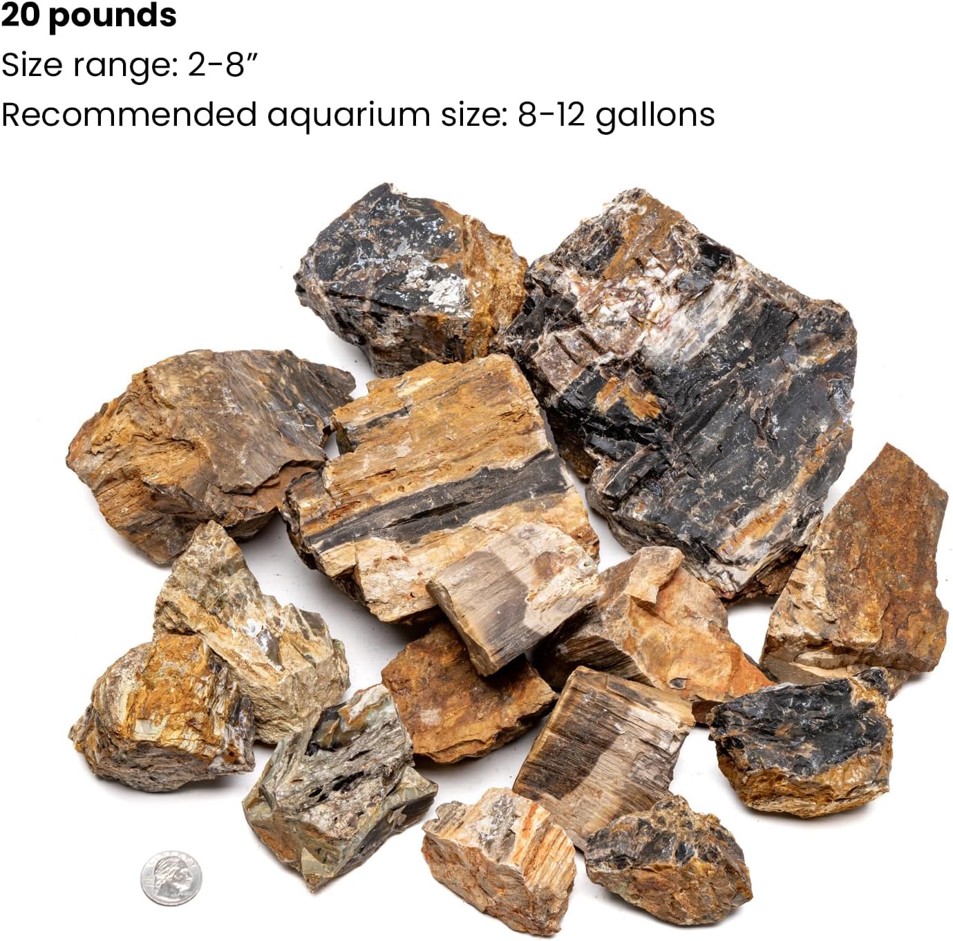 SubstrateSource Natural Stone for Aquarium, Terrarium, Paludarium, Reptile Enclosures - Set of Decorative Rocks for Landcapes, Aquascaping, Fish Tank Decor (Petrified Wood Stone, 20 Pounds, 2-7")