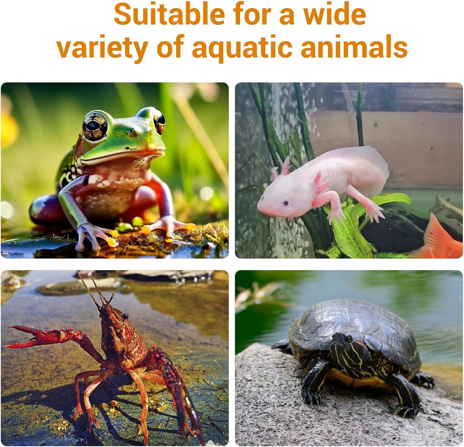 Turtle Basking Platform for Aquatic Pets - Extra Large Basking Platform for Aquatic Turtles with 3 Strong Suction Cups, Floating Resting Dock for Turtle Tank & Aquarium