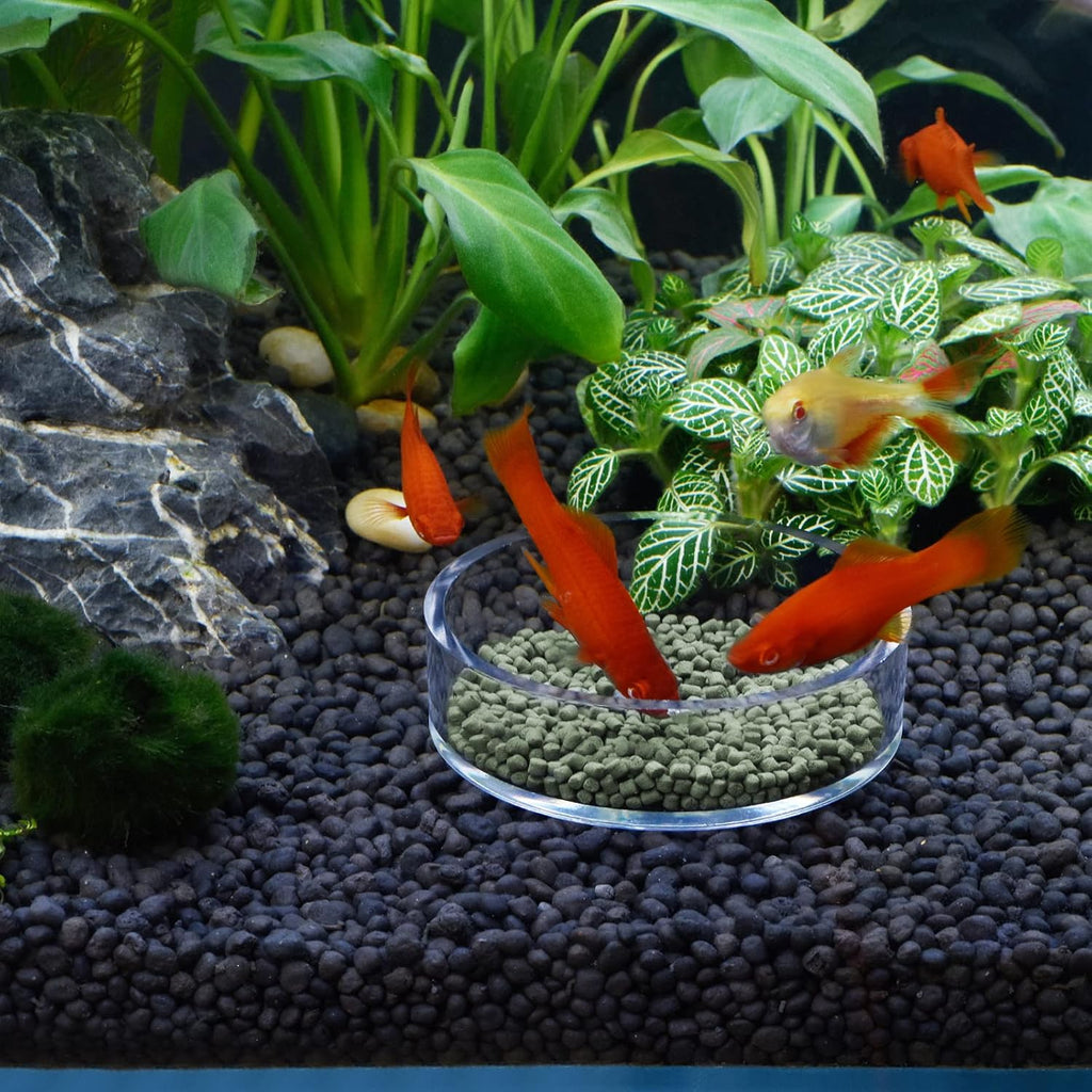 Aquarium Shrimp Feeder Dish Round Clear Fish Tank Feeding Dish Bowls (85mm)