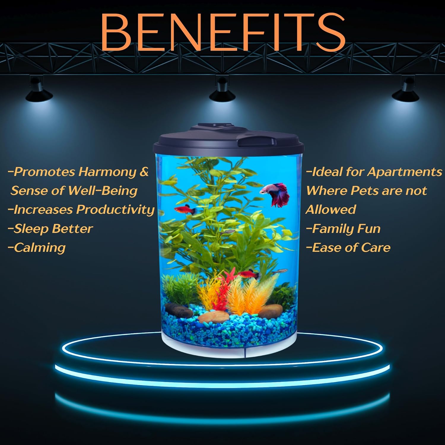 Koller Products 3-Gallon 360 Aquarium with LED Lighting (7 Color Choices) and Power Filter, Ideal for a Variety of Tropical Fish,Crystal-Clear Clarity,AP360A-3FFP