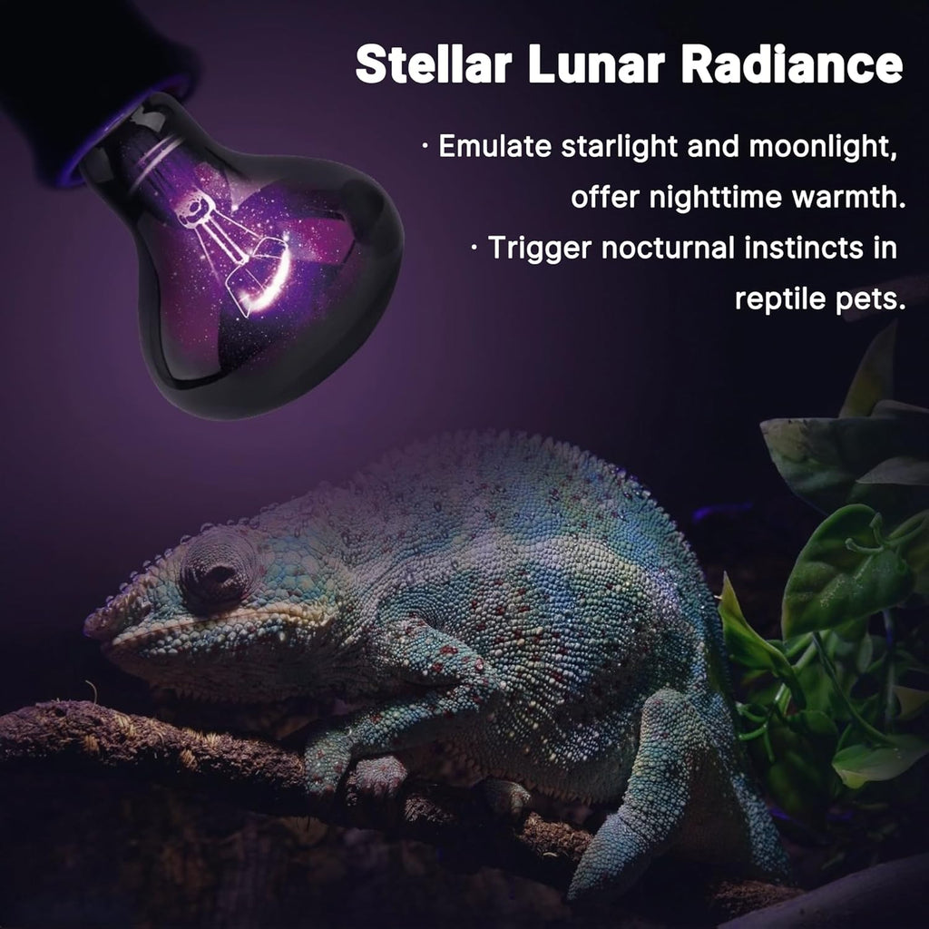 R80-100W Reptile Night Light Bulb, UVA Heat Lamp - Simulate Natural Moonlight, Purple Basking Lamp, 2000 Hours lifespan