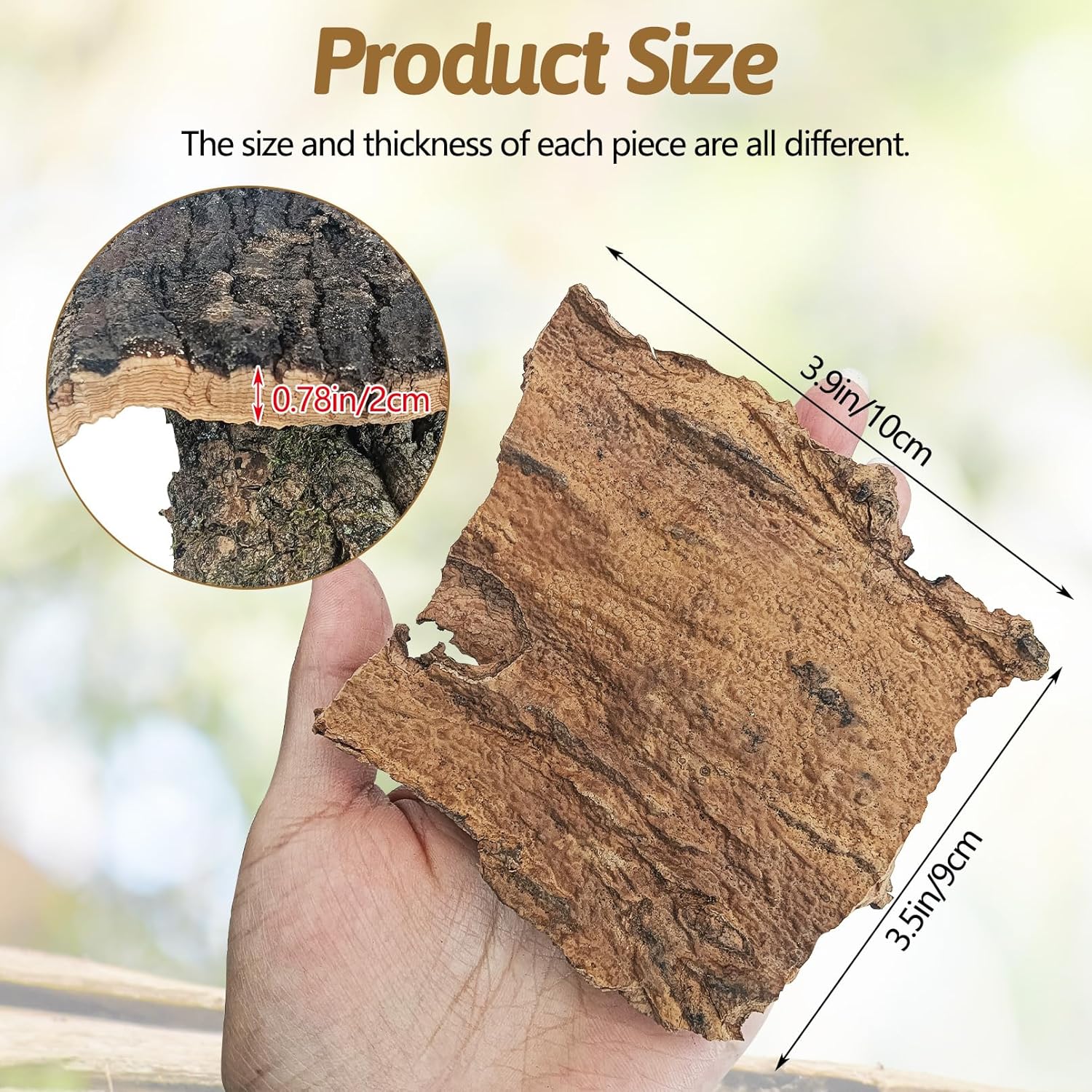 BNOSDM Reptile Cork Bark Substrate 16oz Tortoise Bedding for Habitat Natural Flat Cork Wood Bulk Terrarium Reusable Champagne Bark for Lizard, Crested Gecko, Spider, Chameleon, Ball Python, Tree Frog
