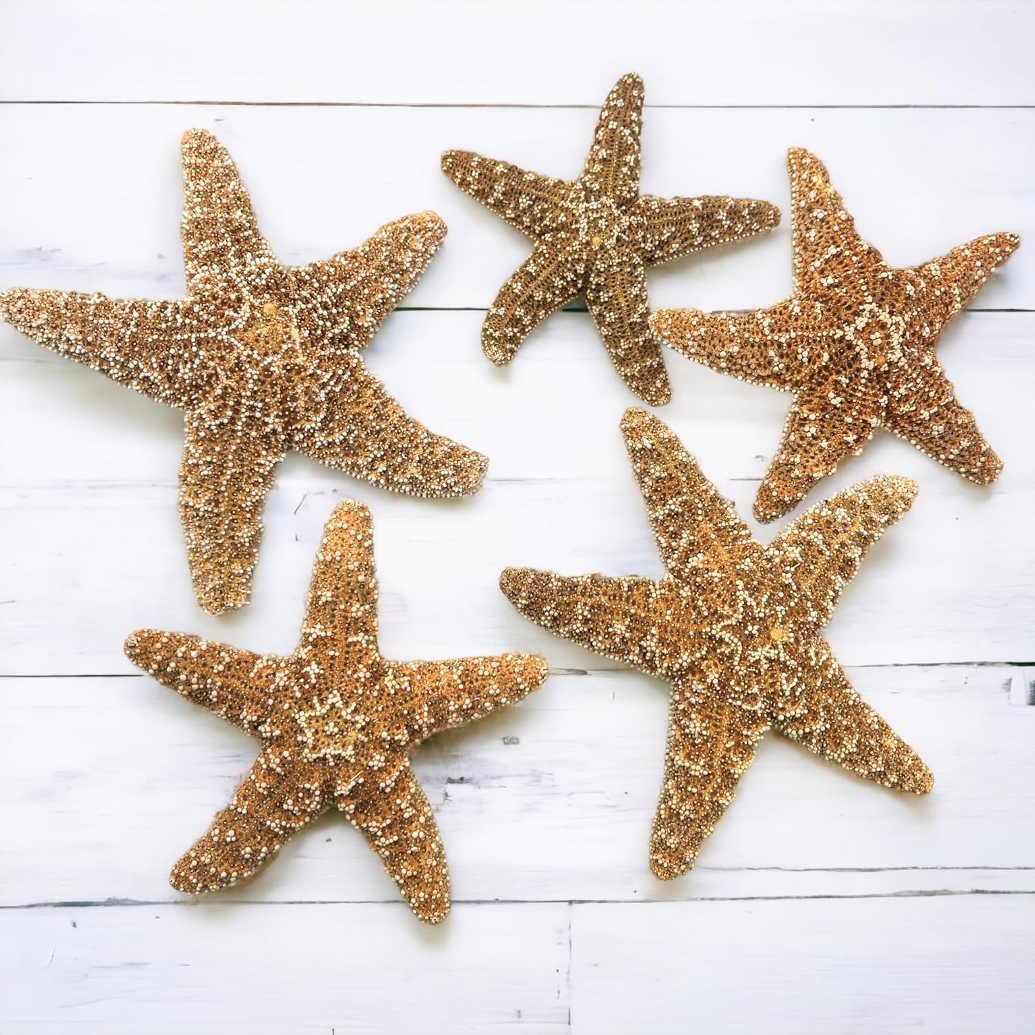 Tumbler Home Real Starfish Décor - 5pcs - 4" - 6" Large Starfish for Crafts, Beach House Décor, Christmas Ornaments & Nautical Decorations