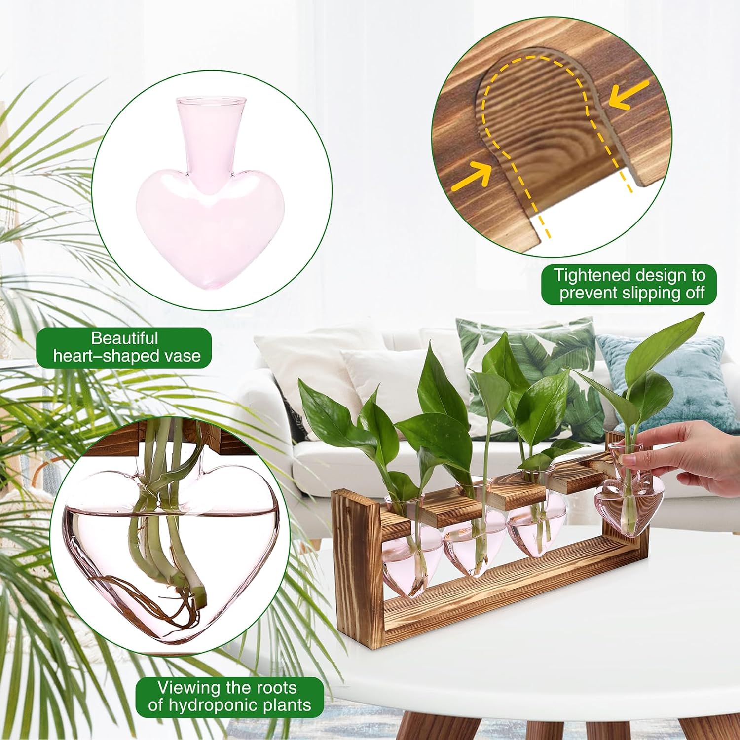 Heart Plant Terrarium Kit Gift for Women Plant Lover Glass Vases