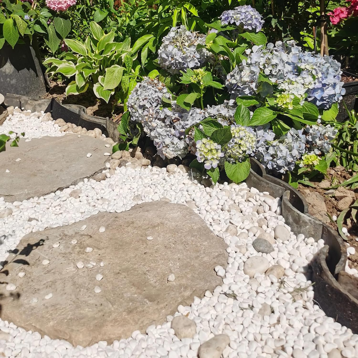 5 lbs White Pebbles for Indoor Plants, 0.5-1 Inch Pea Gravel Stones for Planters, Decorative River Rocks for Succulent, Cactus, Vases, Aquariums, Crafting and Garden Landscaping