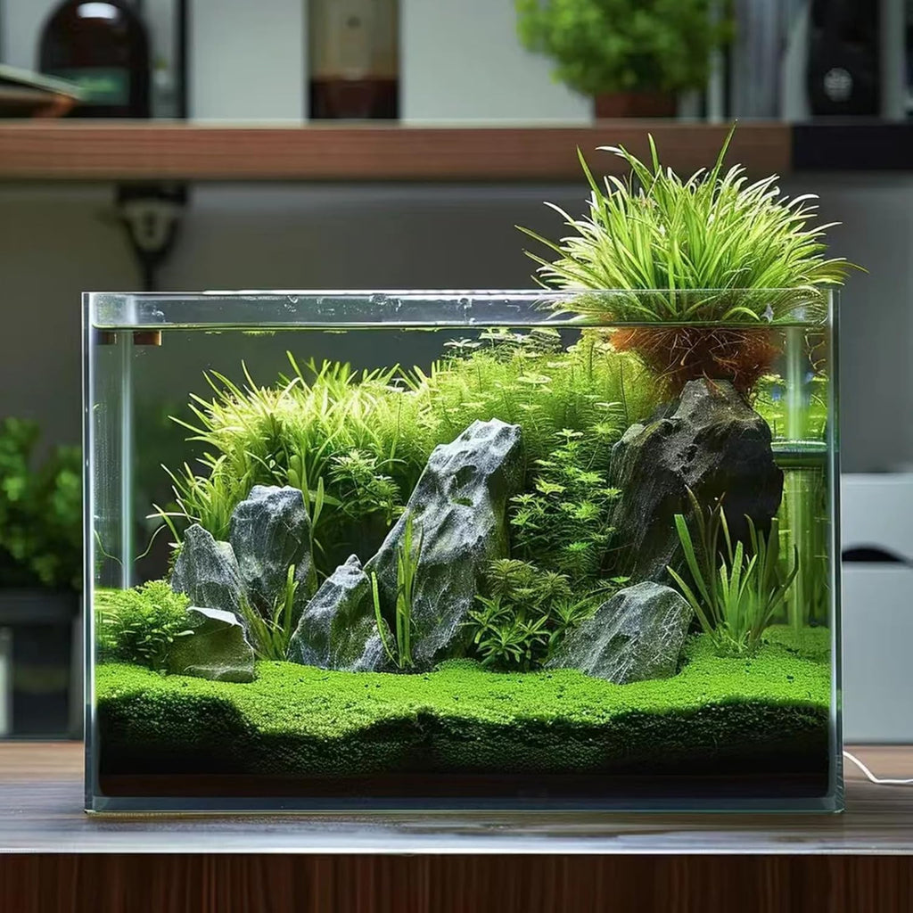 5 Gallon Glass Fish Tank, Easy to Maintain Small Aquarium for Betta/Goldfish/Snails/Shrimp and Aquatic Planting.