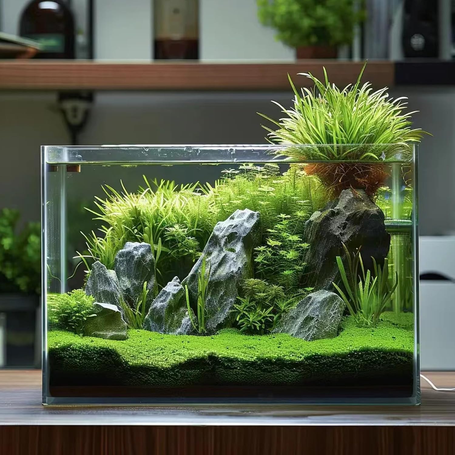 5 Gallon Glass Fish Tank, Easy to Maintain Small Aquarium for Betta/Goldfish/Snails/Shrimp and Aquatic Planting.