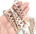 PEPPERLONELY 20 PC Center Cut Terebra Turritella Sea Shells, 2-1/2~3 Inch