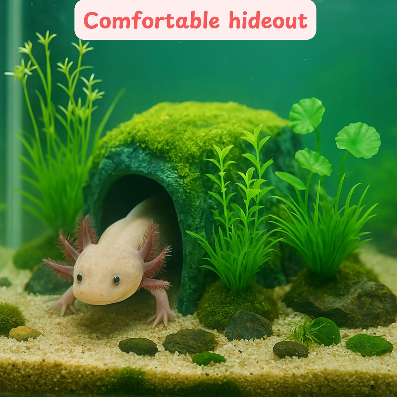 Axolotl Hides for Aquarium with Feeding Dish and Fake Plants Set, Axolotl Cave with Green Plants, Aquarium Decor, Fish Tank Decorations, Turtle Tank Accessories (Cave+Plant+Feeding Dish, L)