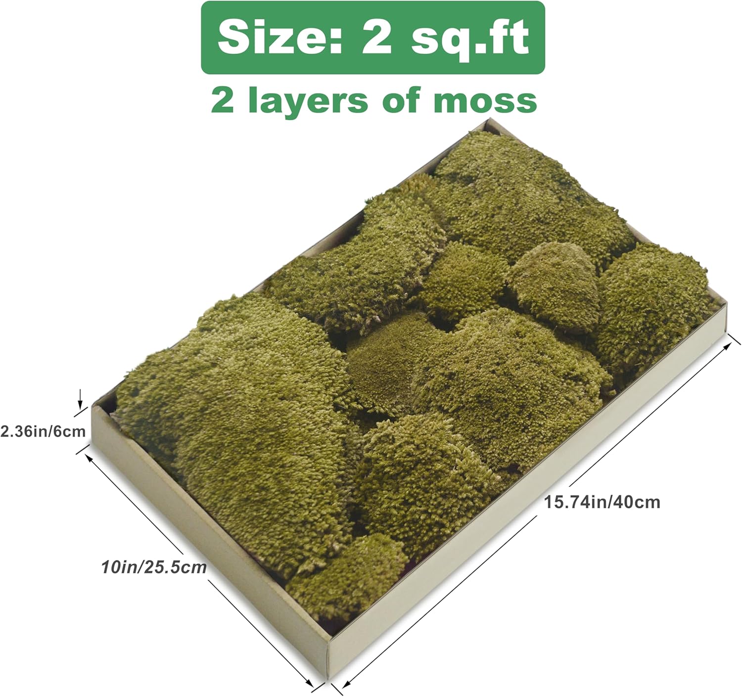 TurelinnG Preserved Moss Decor - Real Forest Moss, Moss for Crafts, Flexible for DIY Crafts, Home, Wall, Terrarium, Art Projects(Yellow Green 2 sq.ft)