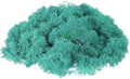 uxcell Preserved Reindeer Moss, 17.6oz Fake Moss for Crafts Artificial Dried Moss for Decoration Terrariums Potted Plants, Blue