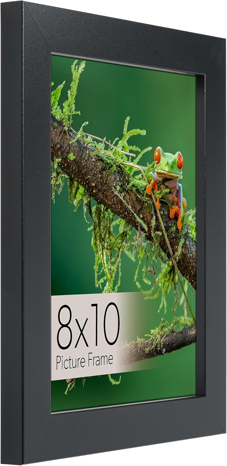 wallsthatspeak Elements 8x10 Picture Frame with Easel for Shelf Décor, Black Frame Displays Vertically or Horizontally, Includes High Clarity Glass, Set of 6