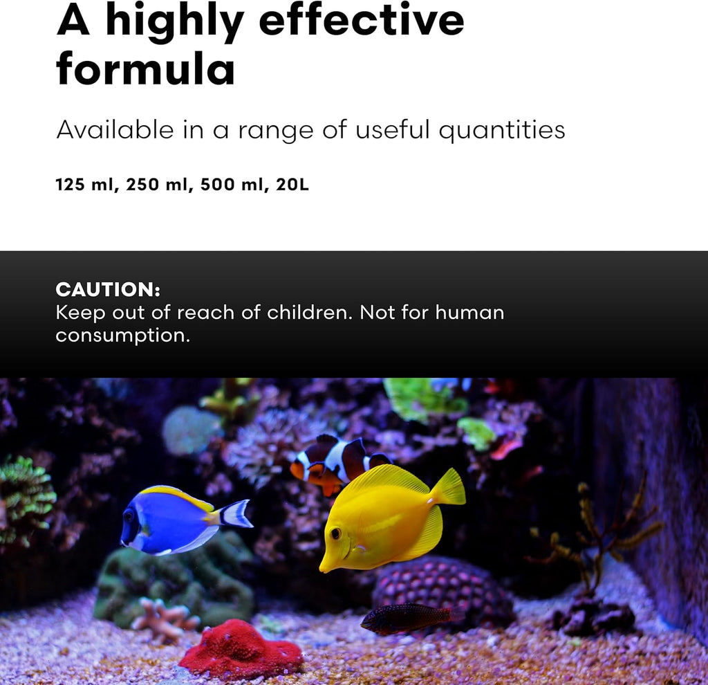 Brightwell Aquatics Koral MD Coral Dip – Plant-Based Cleaner and Conditioner for SPS LPS Soft Corals Zoanthids Anemones – Prevents Unwanted Substance Transfer, 250 ml
