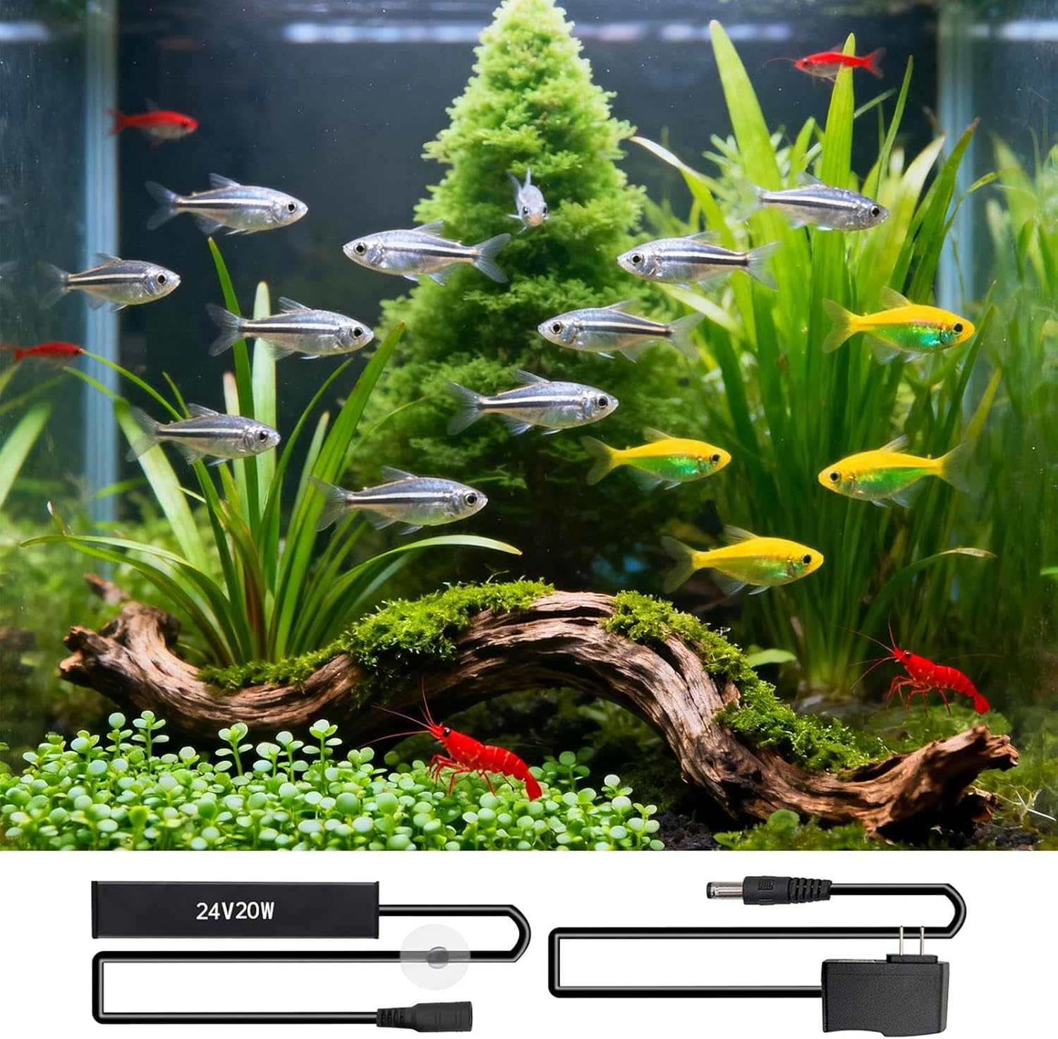Small Aquarium Heater | Overheat Protection Adjustable 20W,Submersible Aquarium Heater - for Betta Aquatic Pet Saltwater Freshwater Home Indoor Office Breeding