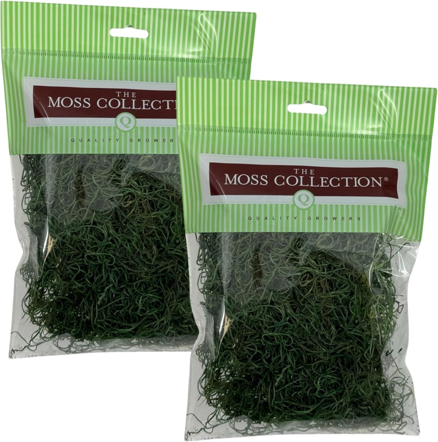 Preserved Spanish Moss - Premium Decorative Moss for Crafts, Home Décor, Art, Design & DIY Projects - Real Moss - Non-Toxic, USA-Made (Forest Green, Small, 2-Pack)