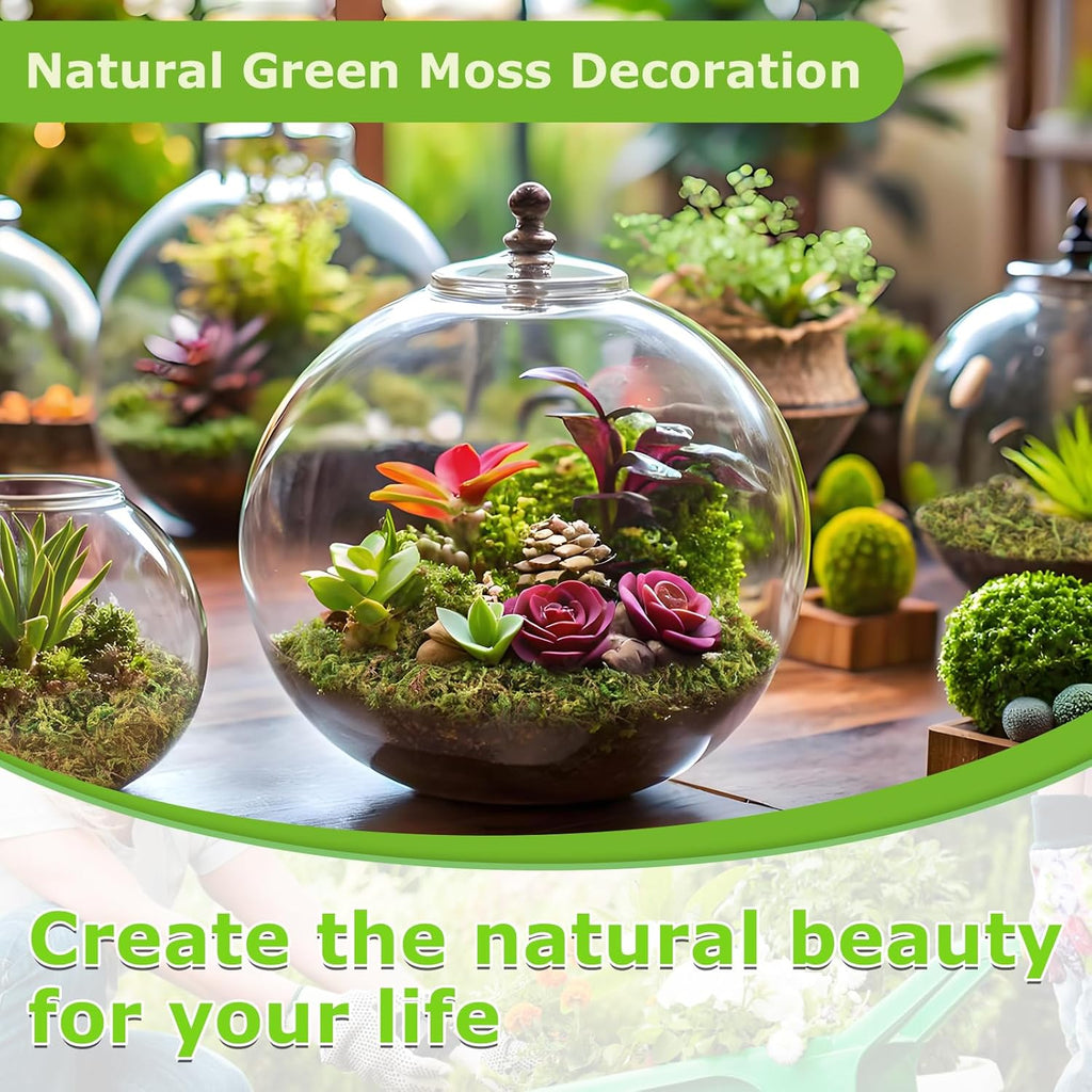 Legigo 7 OZ Green Moss for Crafts, Real Forest Moss for Plants Indoor, Table Decorative Centerpieces, Artificial Fairy Garden, Wedding Party Decor, Fake Potted Plants and DIY Craft Projects