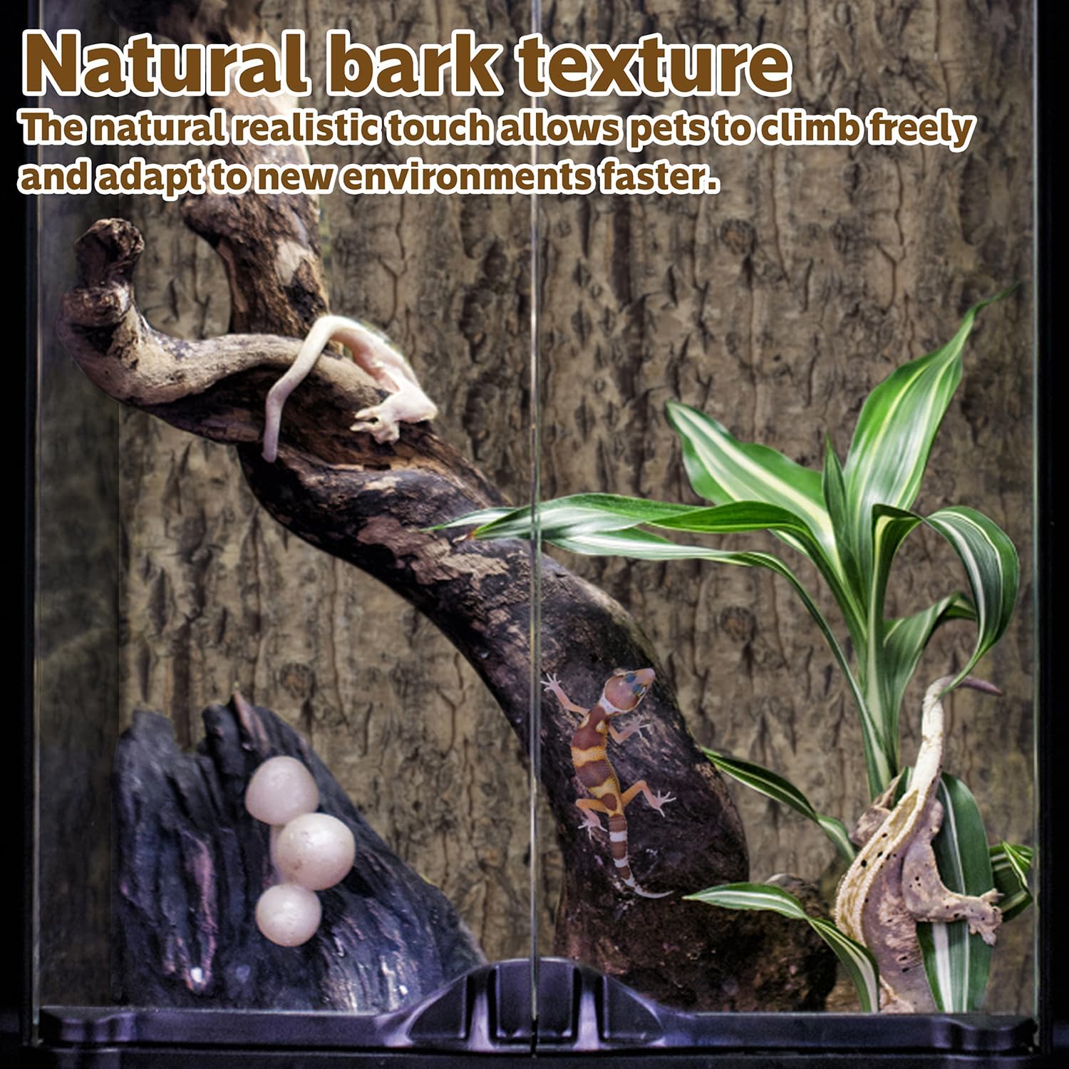 2PCS Cork Terrarium Background 9.84x11.8in Natural Cork Large Bark Backdrop Reptile Climbing Mat Habitat Decor for Spider Lizard Chamelon Turtle Beared Dragon