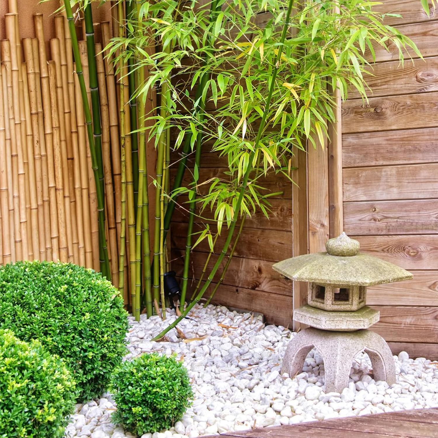 40 lbs White River Rocks for Landscaping, 2-3 Inch Polished Pebbles for Indoor Plants, Decorative White Stones for Planters, Vase, Aquarium, Fish Tank and Garden