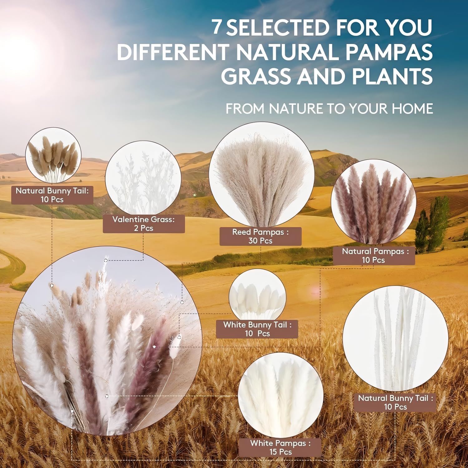 80PCS Dried Pampas Grass Bouquet – Bunny Tails, White Reed & Rustic Florals – Fluffy Donut Vase Filler for Japandi Shelf Styling, Boho Wedding & Neutral Home Decor