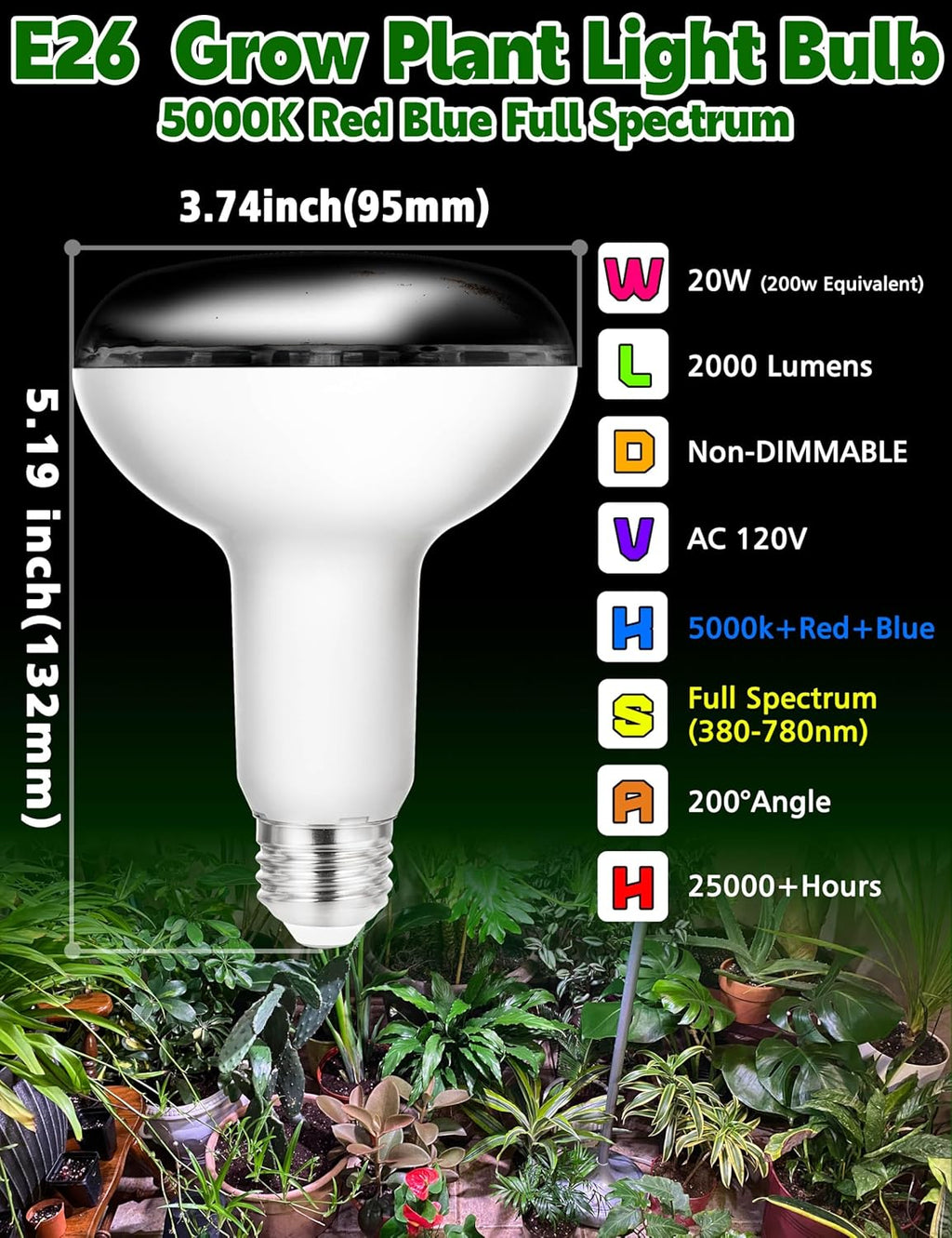 BR30 LED Grow Light Bulbs Floodlight 5000K Red Blue Full Spectrum, 20W E26 Plant Light Bulb 200w Equivalent, Balanced Spectrum for Indoor Plants, Seeding, Growing, Hydroponic, 2000lm, 2pcs