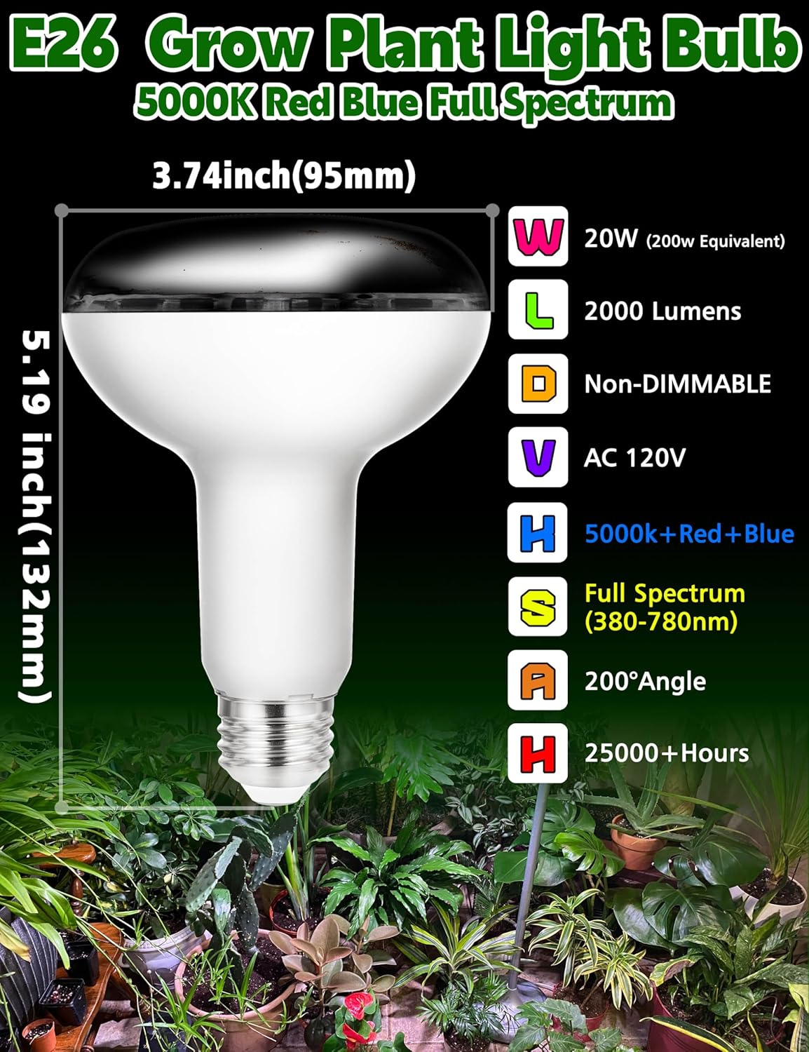 BR30 LED Grow Light Bulbs Floodlight 5000K Red Blue Full Spectrum, 20W E26 Plant Light Bulb 200w Equivalent, Balanced Spectrum for Indoor Plants, Seeding, Growing, Hydroponic, 2000lm, 2pcs