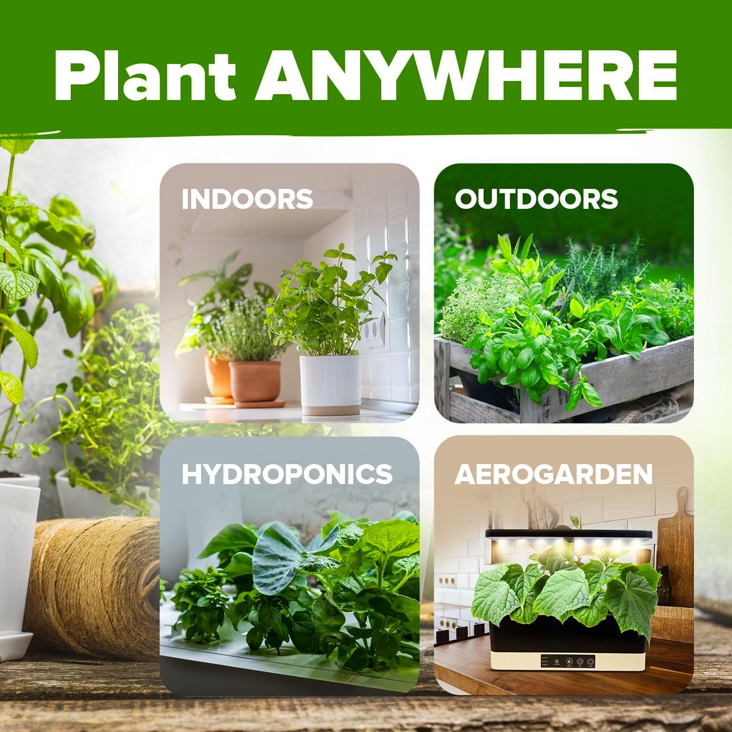 HOME GROWN 10 Herb Seeds for Planting 3,000+ Non-GMO Heirloom Seeds | Extra Large Variety Pack Herb Kit – Indoor Outdoor & Hydroponic | Culinary Seed Set | Grow Your Own Herbs | Gift for Beginners