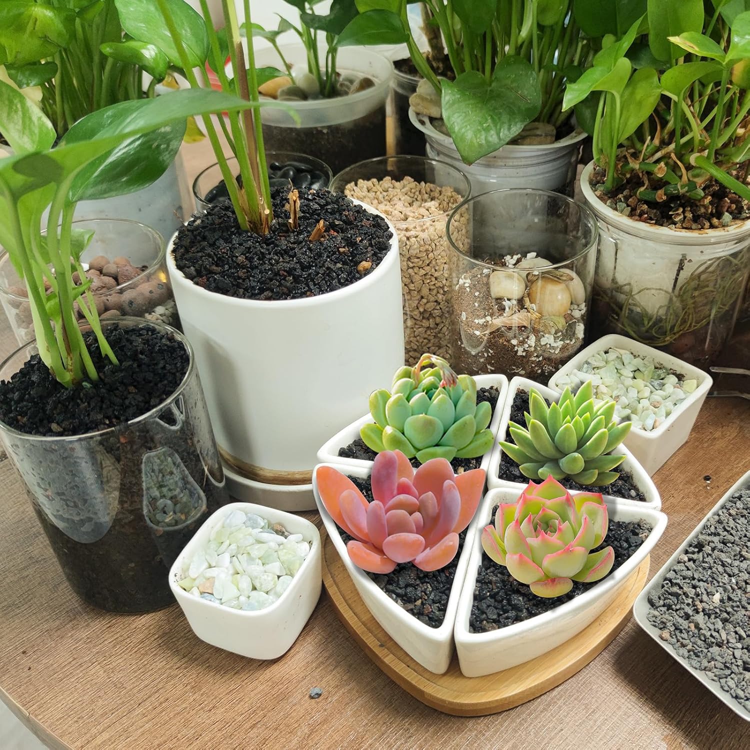 45Lb Horticultural Lava Rock-Lava Rocks for Plants,Succulent Soil Amendment,Decorative Cactus Soil Potting Mix,Volcanic Rock for Aquarium Fairy Gardening Top Dressing Plant Drainage
