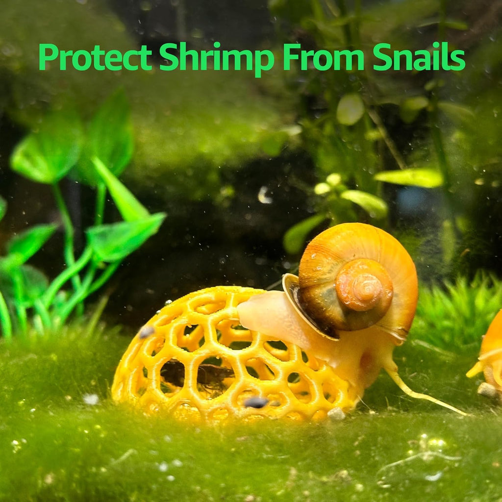 Shrimp Dome Hide - Aquarium Cherry Shrimp Hide - CTWPets Cherry Shimpe Hide (Honey Gold)