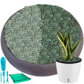 18 lbs Succulent and Cactus Bonsai Pebbles, 4-6mm Decorative Landscaping Stones Natural Garden Gravel Rocks for Indoor Outdoor Plants Aquariums DIY, and Gardening Top Dressing, Green Zeolite