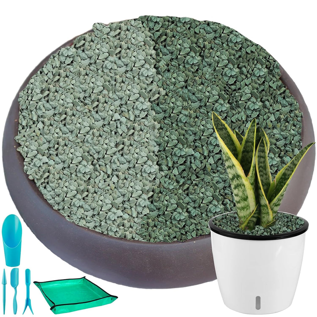11 lbs Succulent and Cactus Bonsai Pebbles, 4-6mm Decorative Landscaping Stones Natural Garden Gravel Rocks for Indoor Outdoor Plants Aquariums DIY, and Gardening Top Dressing, Green Zeolite